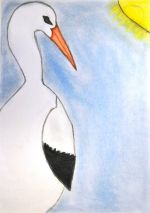 Žifčák Adrián.jpg